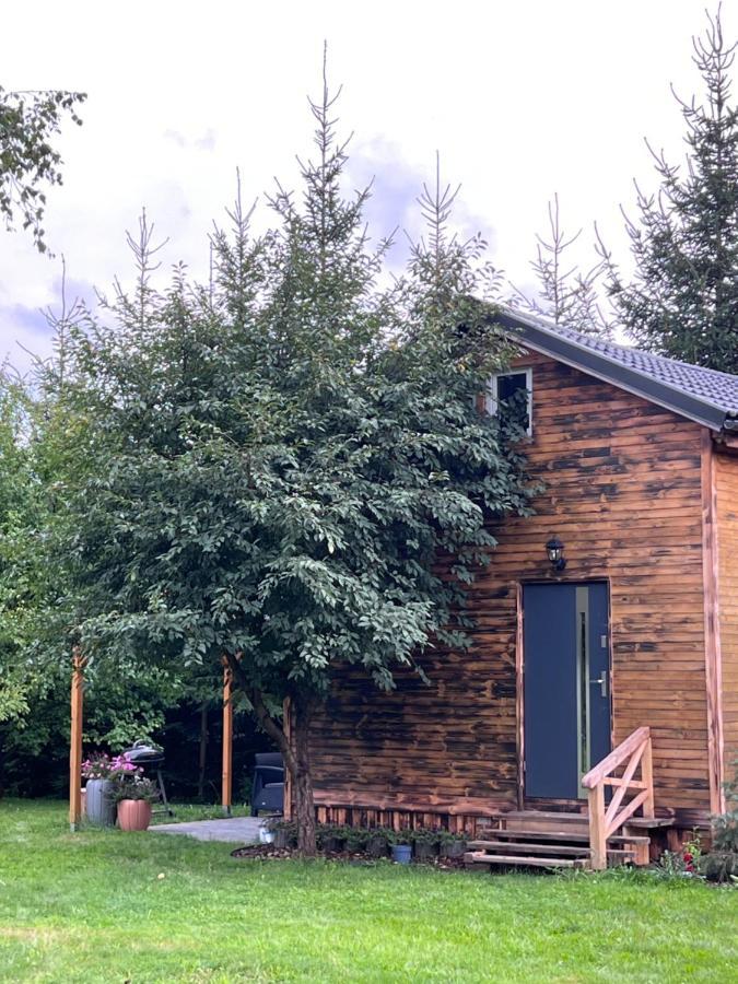 Jezowka I Sudetka Villa Jezow Sudecki Bagian luar foto